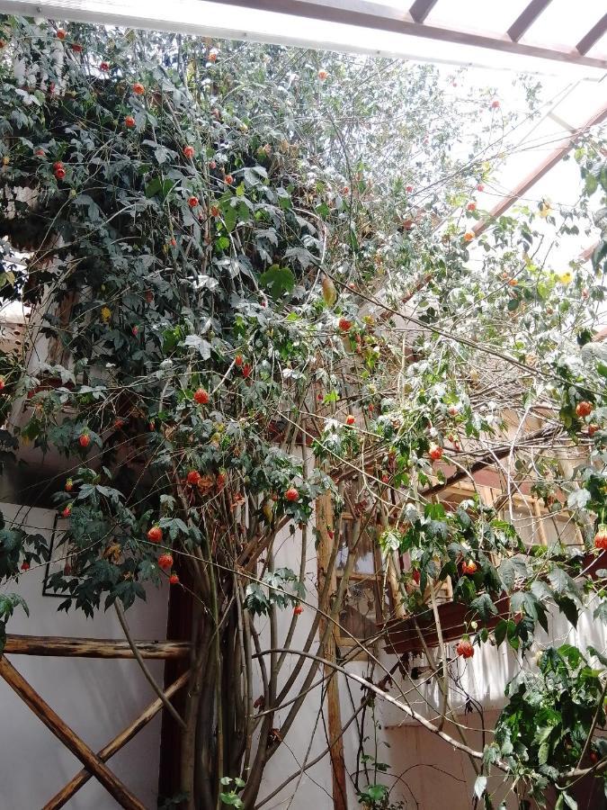 Casa De Mama Cusco - The Treehouse Aparthotel ภายนอก รูปภาพ